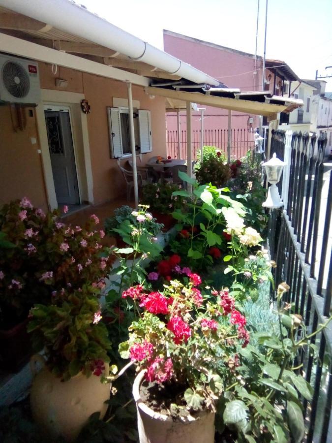 Villa Angela, Traditional Villa In The Village Agios Ioannis Peristeron  Exterior photo